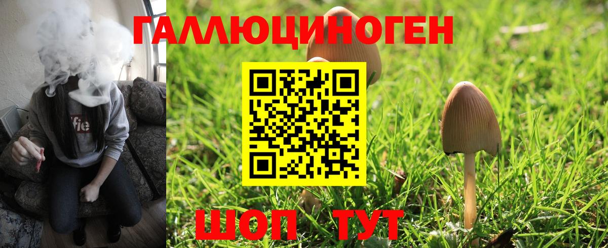 Сарапул  Галлюциногенные грибы Magic Shrooms  Вход с VPN 